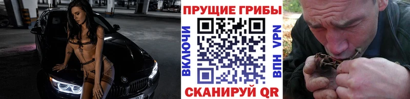 Галлюциногенные грибы MAGIC MUSHROOMS  даркнет Telegram  Аргун  купить наркотики сайты 